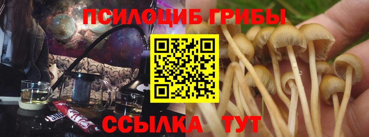 Псилоцибиновые грибы Psilocybe  Галлюциногенные грибы Psilocybine cubensis  Вход с VPN  Алушта 